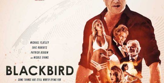 Blackbird, film poster, movie poster, film poster design, movie poster design, drama poster, movie drama poster, film drama poster , 2018